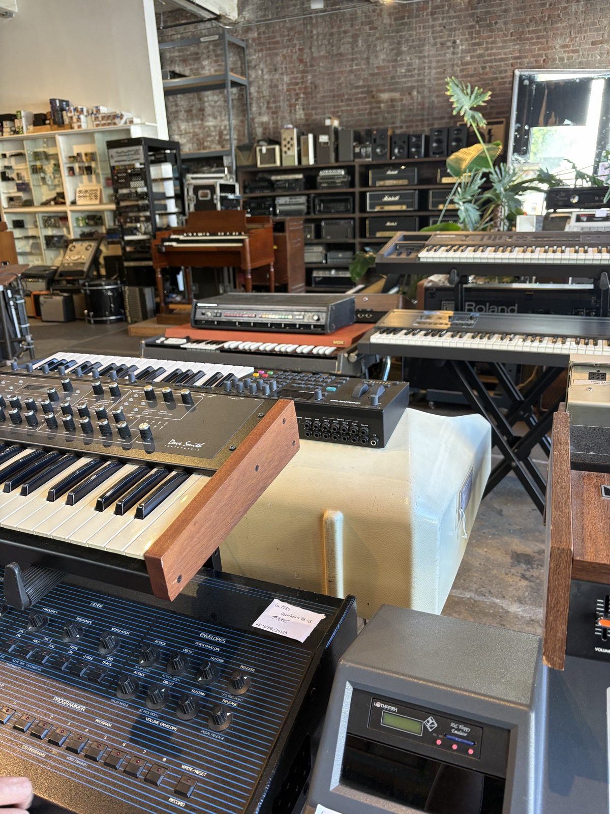 The Prophet '08 on a stand in the front of the shop, its black panel covered in knobs and a mahogany end cheek catching the light, the Dave Smith Instruments logo on the right of the panel. Below it, a larger black Oberheim synthesizer with rows of sliders. Behind them, a cream-colored speaker cabinet, a Hammond organ in dark wood, a Roland stage piano, a wall of Marshall and other amplifier heads stacked to the ceiling, exposed brick, a big leafy plant, and a window to the street.